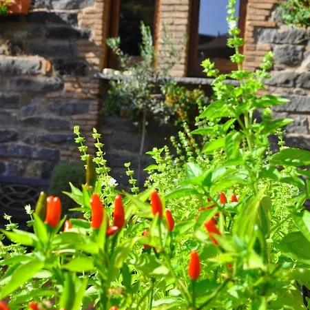 Mini House - Tra L'etna Catania Taormina E Il Mare Jaktstuga Trecastagni